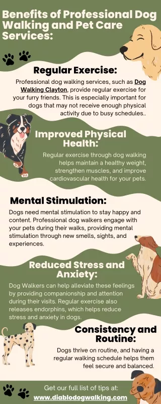 Benefits of Professional Dog Walking and Pet Care Services