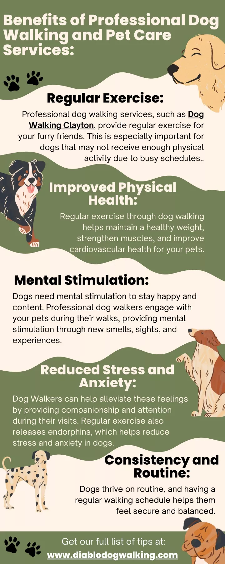 benefits of professional dog walking and pet care