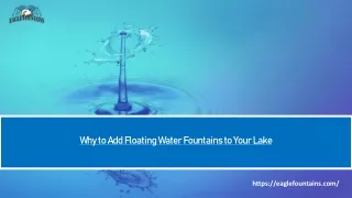 why to add floating water fountains to your lake