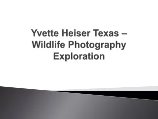 Yvette Heiser Texas – Wildlife Photography Exploration