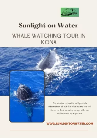 Enjoy Your Whale Watching Tour in Kona with Sunlight on Water