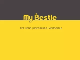 Buy Pet Urns for Ashes  Urns for Dogs & Cats  My Bestie