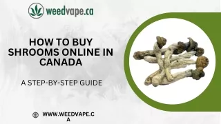 How to Buy Shrooms Online in Canada