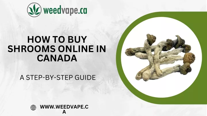 how to buy shrooms online in canada