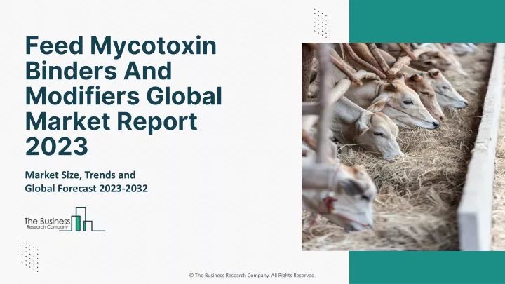 feed mycotoxin binders and modifiers global