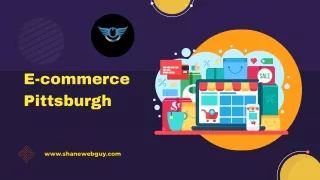 E-commerce Pittsburgh | Shane Web Guy