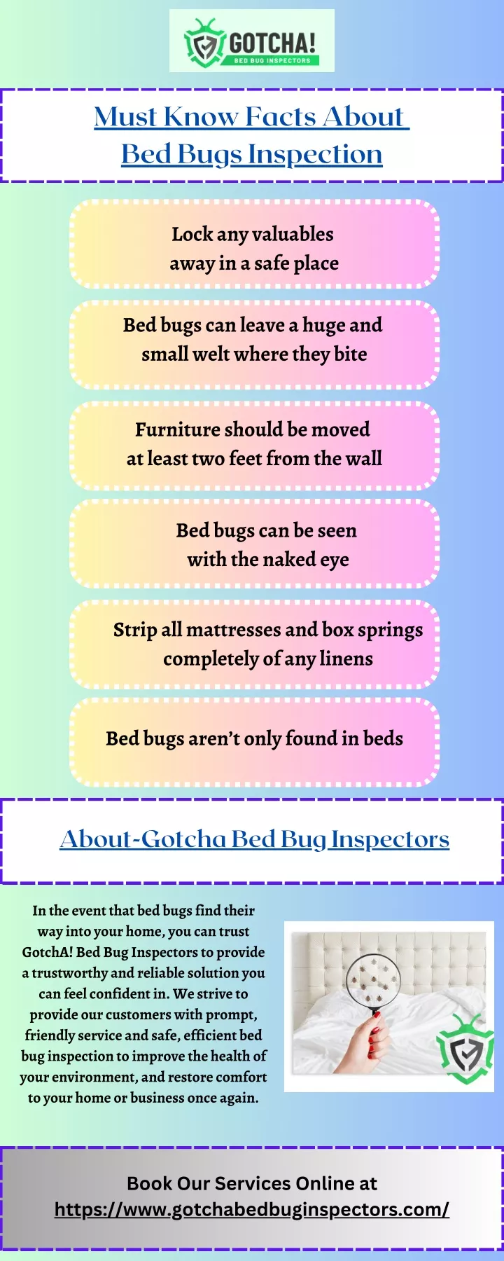 must know facts about bed bugs inspection