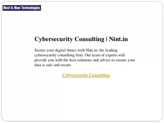 Cybersecurity Consulting  Nint.in