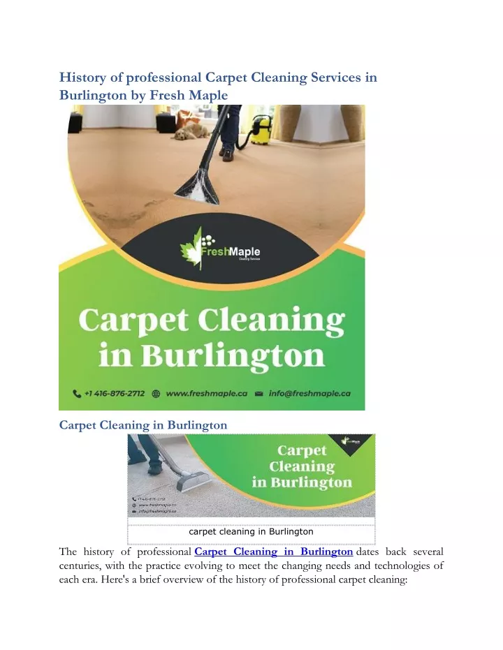 history of professional carpet cleaning services