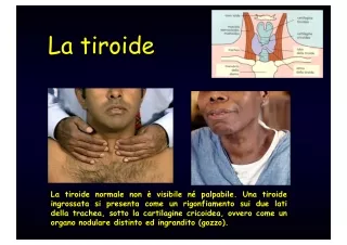 Tiroide - fisiopatologia
