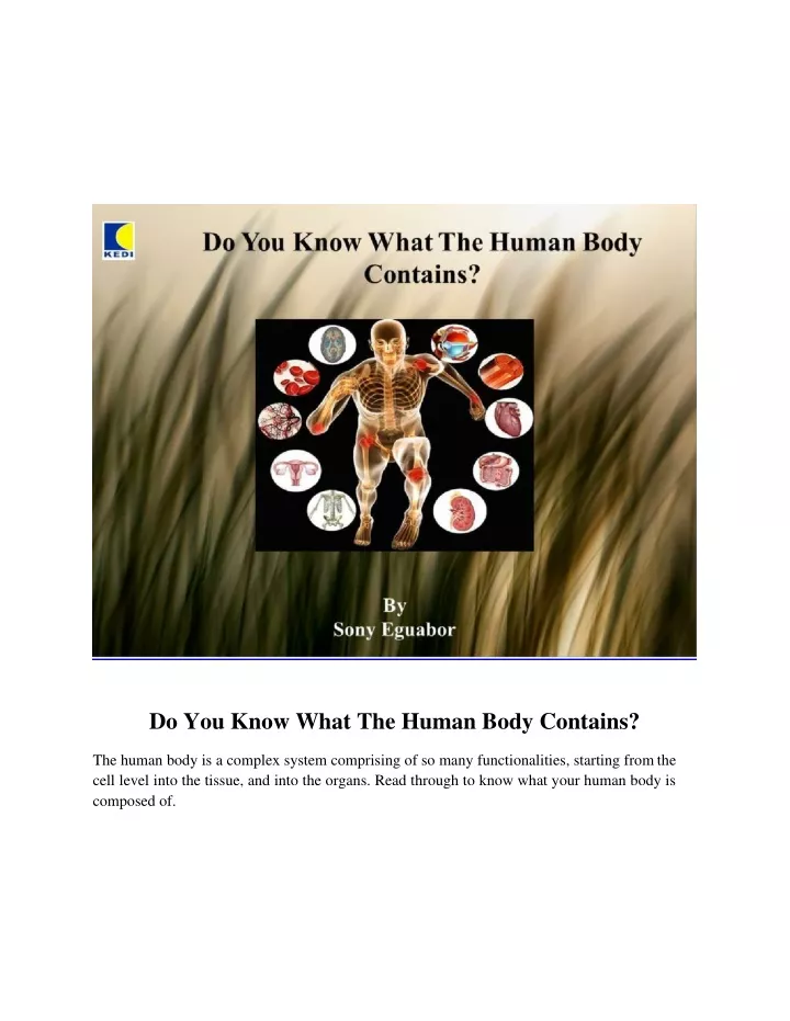 do you know what the human body contains