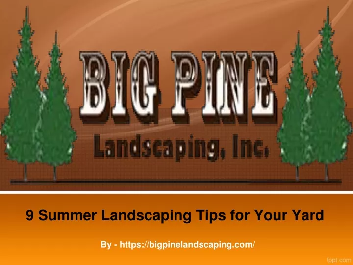 9 summer landscaping tips for your yard