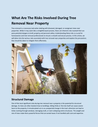 What Are The Risks Involved During Tree Removal Near Property