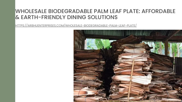 wholesale biodegradable palm leaf plate