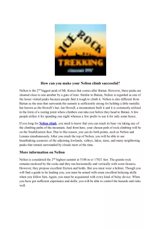 how can you make your nelion climb successful