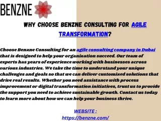 why choose benzne consulting for agile