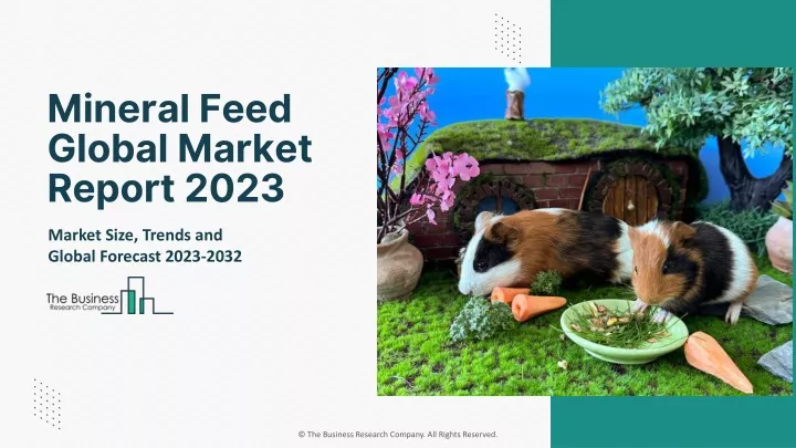 mineral feed global market report 2023