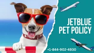 JETBLUE PET POLICY