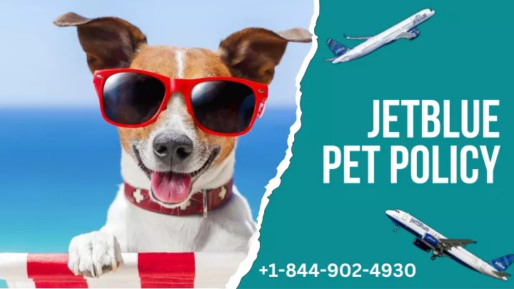 jetblue pet policy