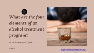 What are the four elements of an alcohol treatment program
