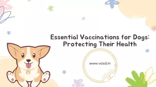 Essential Vaccinations for Dogs Protecting Their Health