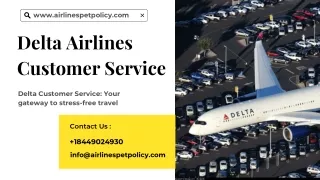 Delta Airlines: Your Guide to Great Customer Service