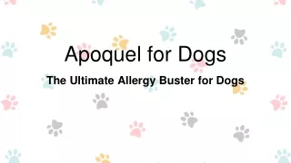 Apoquel: The Ultimate Allergy Buster for Dogs