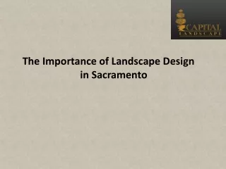 The Importance of Landscape Design in Sacramento