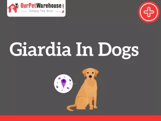All you need to know about Giardia parasite
