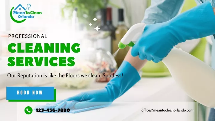 professional cleaning services our reputation