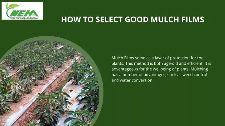 how to select good mulch films