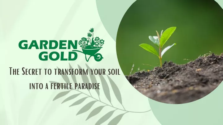 the secret to transform your soil into a fertile
