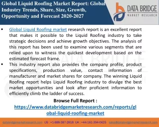 Liquid Roofing -Chemical Material