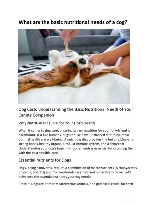 what are the basic nutritional needs of a dog