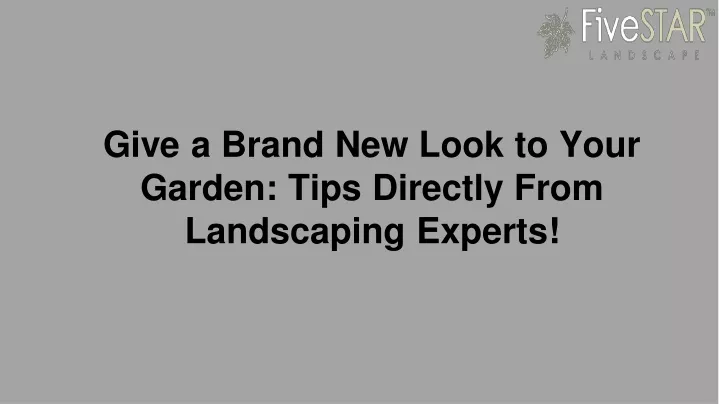 give a brand new look to your garden tips