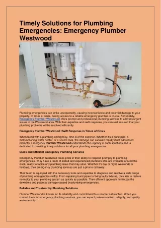 timely solutions for plumbing emergencies