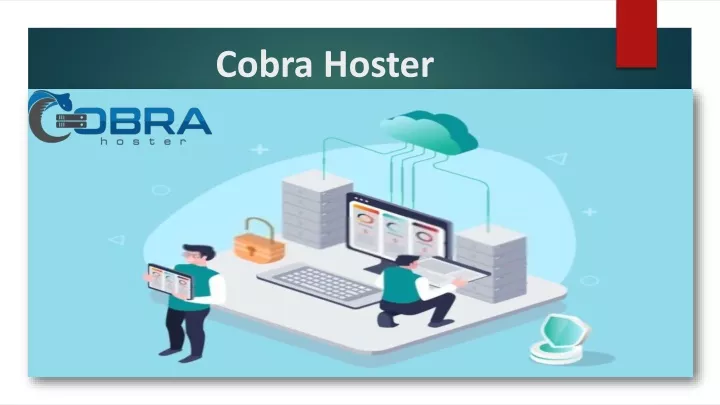 cobra hoster