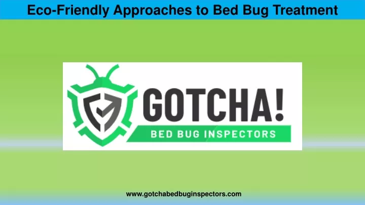 eco friendly approaches to bed bug treatment