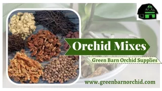 Orchid Mixes: The Perfect Blend for Improvement of your Orchid Plants