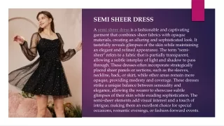 semi sheer dress