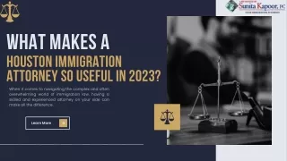 What makes a Houston Immigration Attorney so useful in 2023?