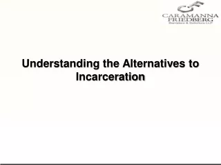 Understanding the Alternatives to Incarceration