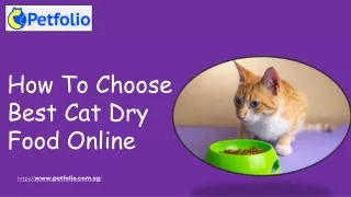 How to Choose Best cat dry food online