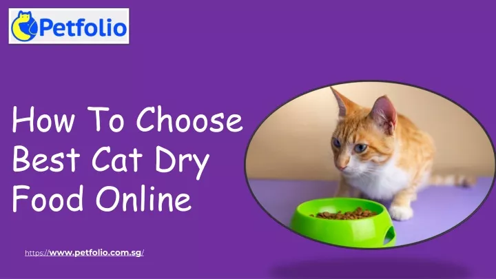 how to choose best cat d ry f ood o nline