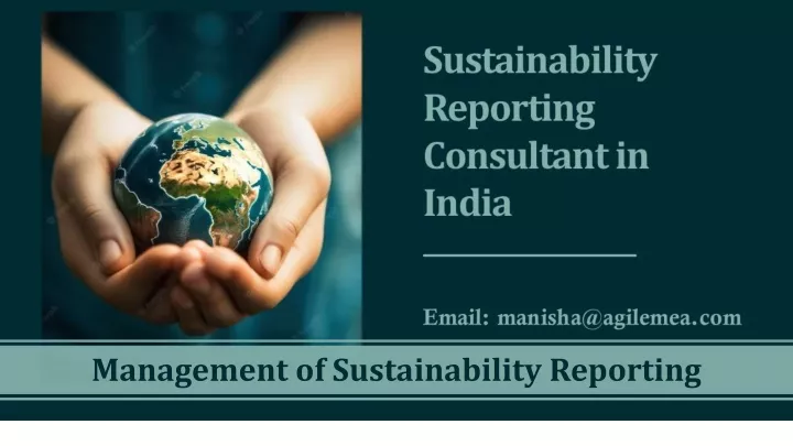 management of sustainability reporting