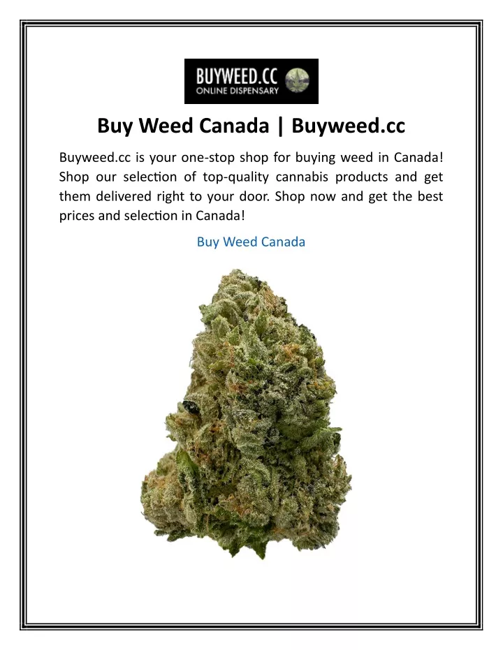 buy weed canada buyweed cc