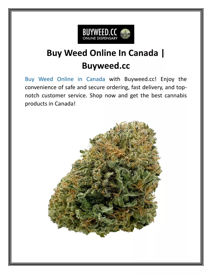 buy weed online in canada buyweed cc