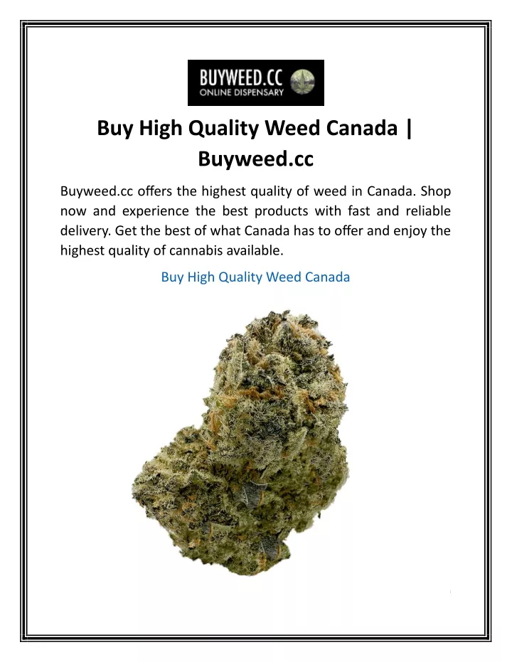 buy high quality weed canada buyweed cc