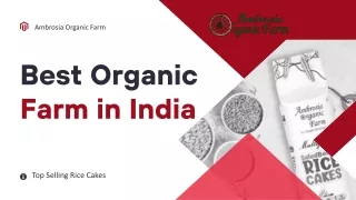 The Top Selling Organic Multi Grain Rice Cake Farm Company in India