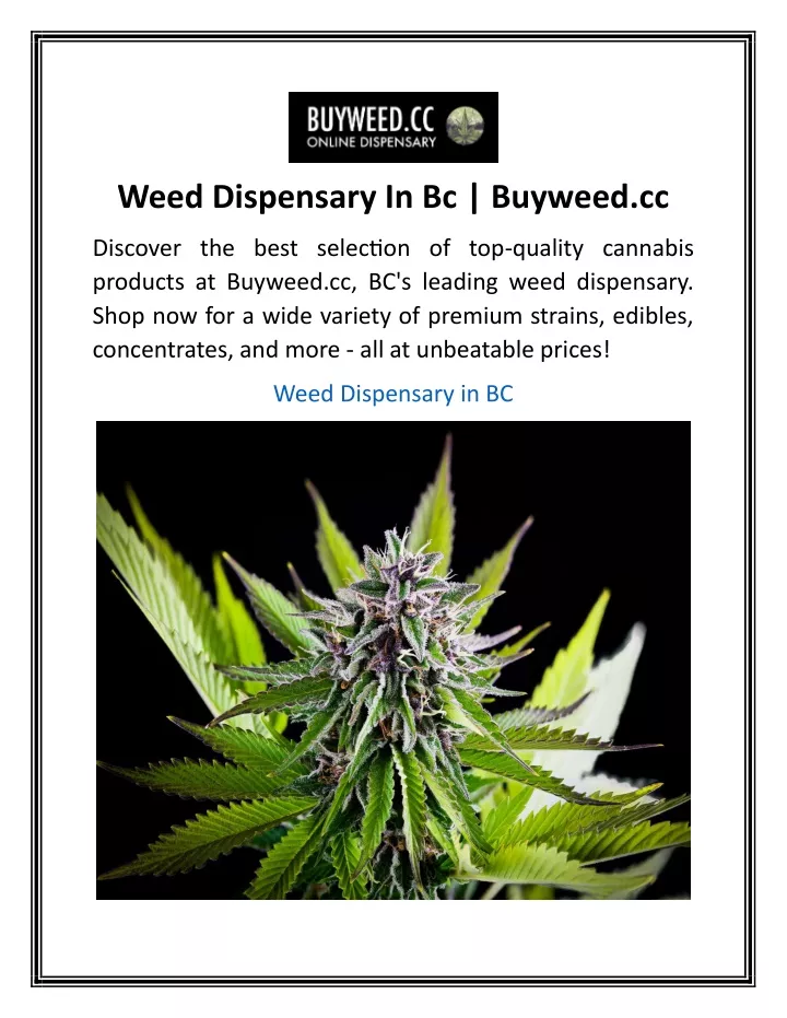 weed dispensary in bc buyweed cc